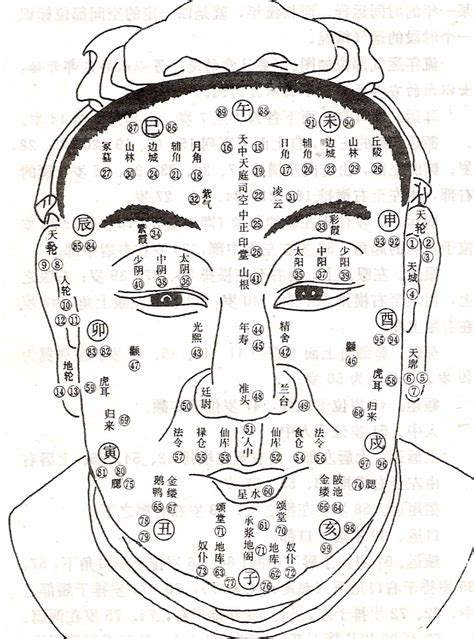 頭型面相|【頭形 相學】頭形相學大揭密：一窺頭型與命運的奧秘